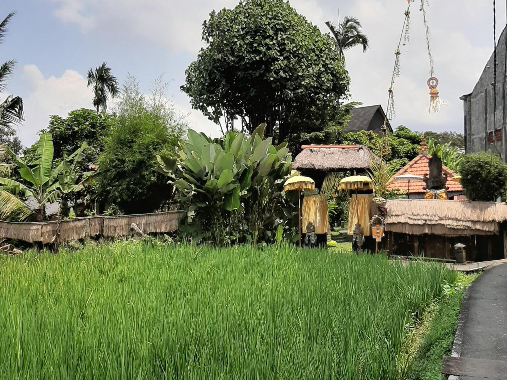 Ubud Hidden Villa Yone Village Экстерьер фото