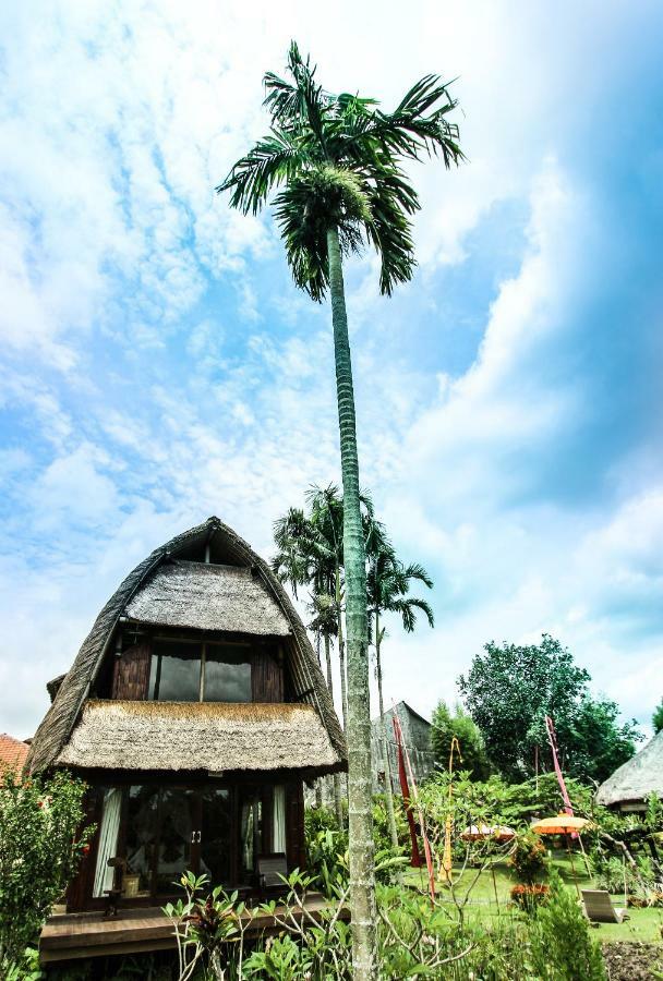 Ubud Hidden Villa Yone Village Экстерьер фото