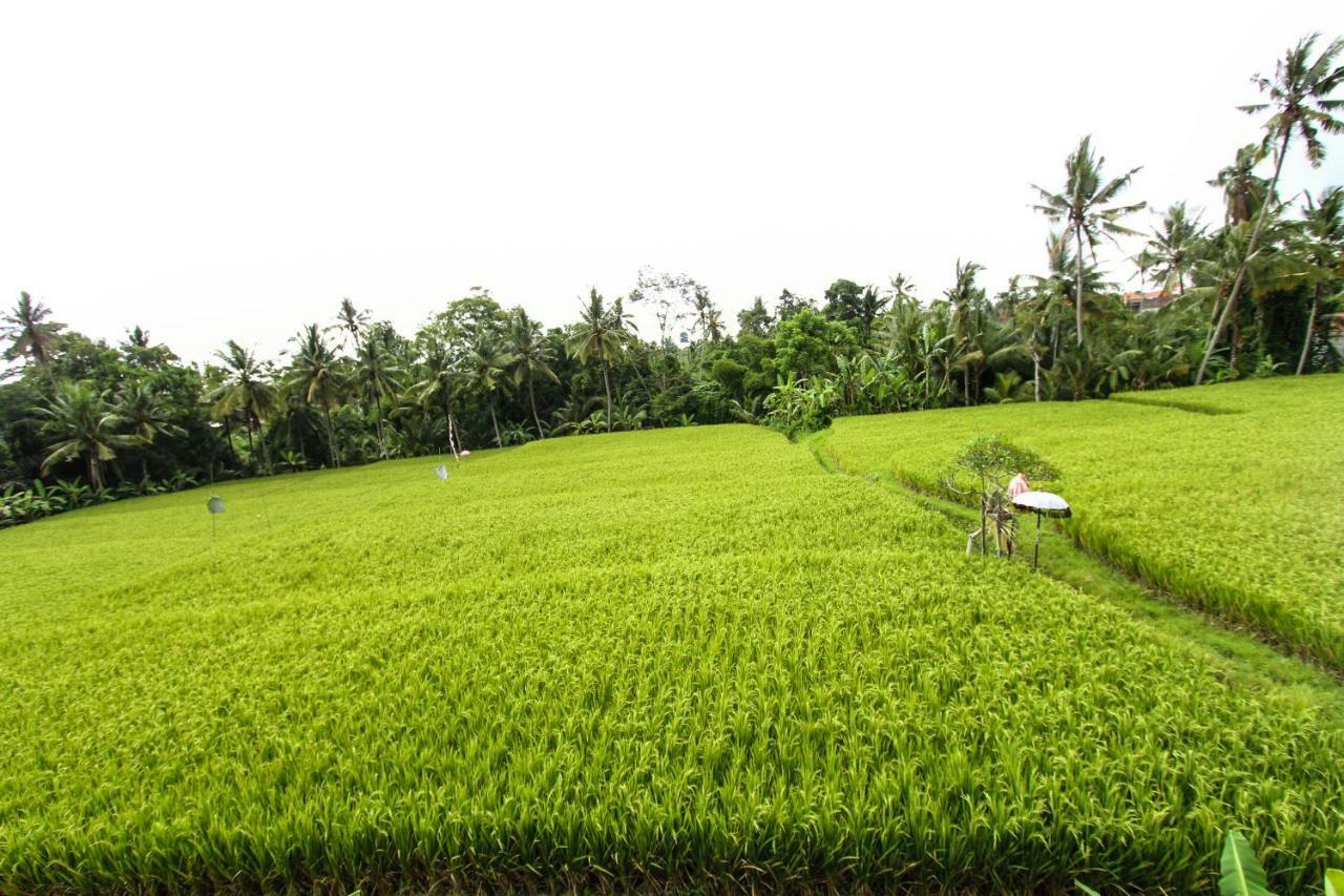 Ubud Hidden Villa Yone Village Экстерьер фото